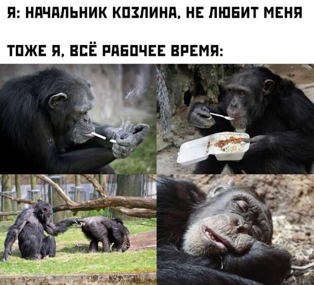 Смешные картинки 14 сентября 2021 года