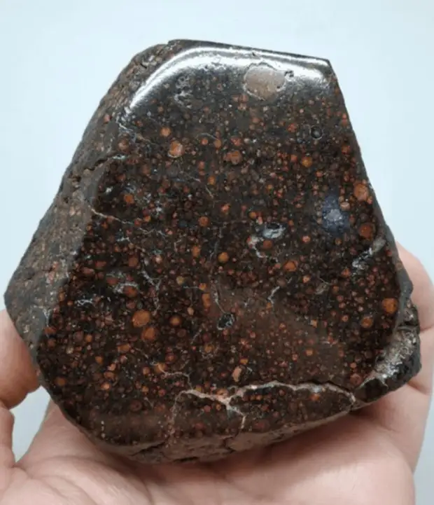 В следе, оставленном подковой, ученые нашли кусок метеорита возрастом 4,6 млрд лет
