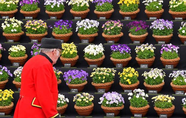 BRITAIN-FLOWER/CHELSEA