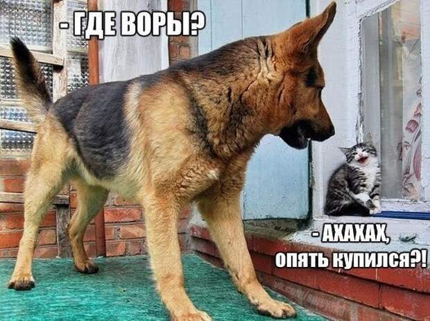 Паранормальных пикч