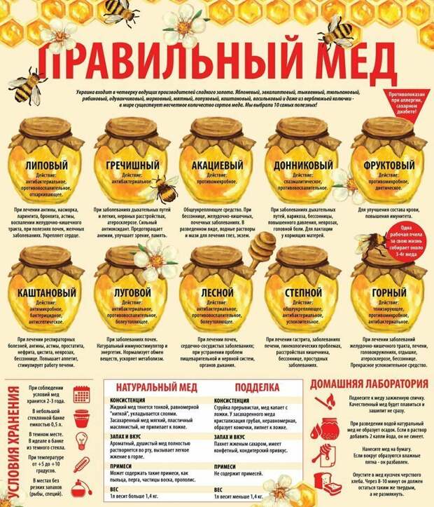 Шпаргалки, которые пригодятся любителям покулинарить Шпаргалки, которые пригодятся любителям покулинарить