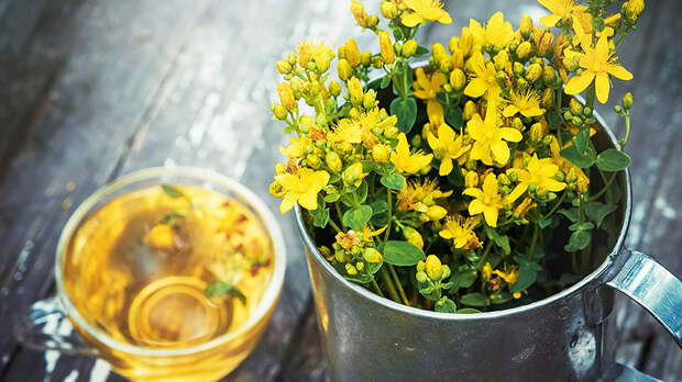 Зверобой от стресса