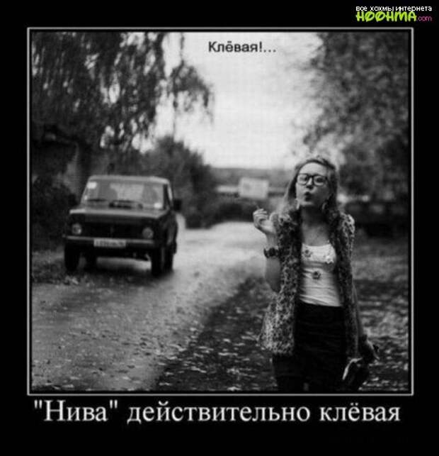 Демотиваторы. Выпуск 108