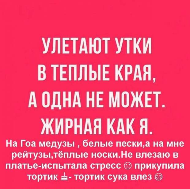 Подборка жизненных женских статусов