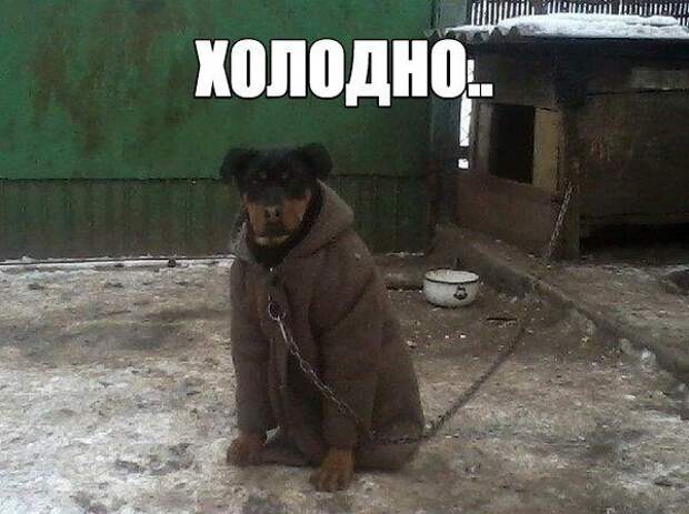 Смешные картинки с надписями приколы, смешные картинки, юмор