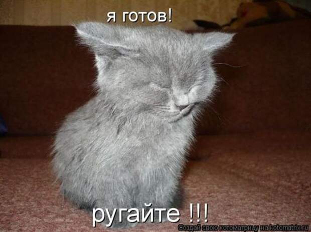 Мысли вслух :)