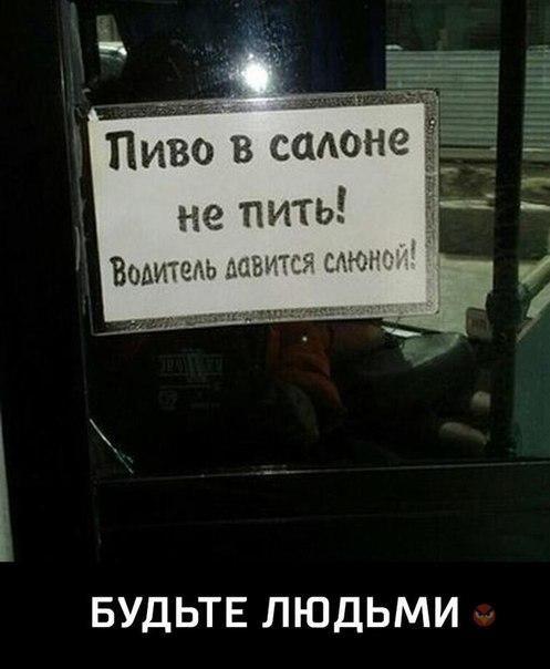 Свежие прикольные картинки