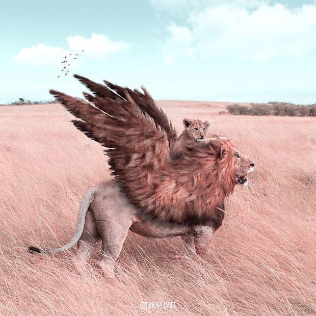 03