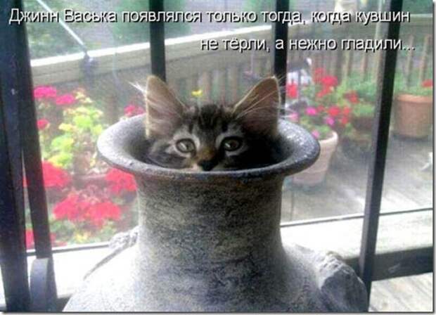 clip_image003