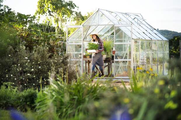 Садовод рассказала, как правильно подготовить теплицу к дачному сезону