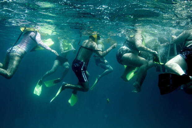 Cноркелинг во Флориде A summer pleasure 6 Снорклинг во Флориде