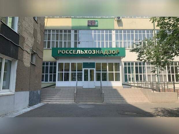 Сорняк захватывает земли Забайкалья