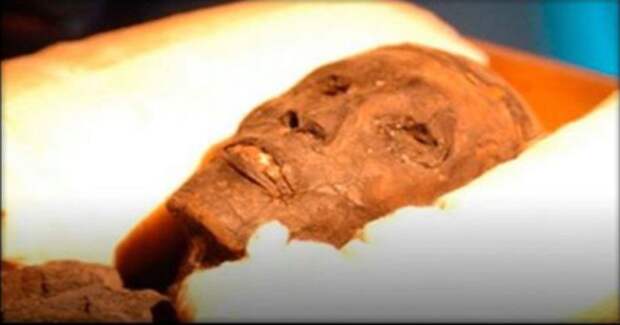 Анализ ДНК почти сотни египетских мумий шокировал ученых ГЕНОМ, история, мумии