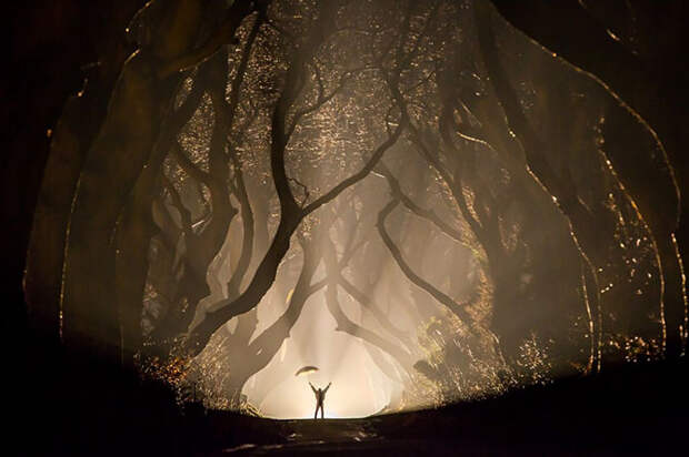 Финалисты AdMe Photo Awards 2014