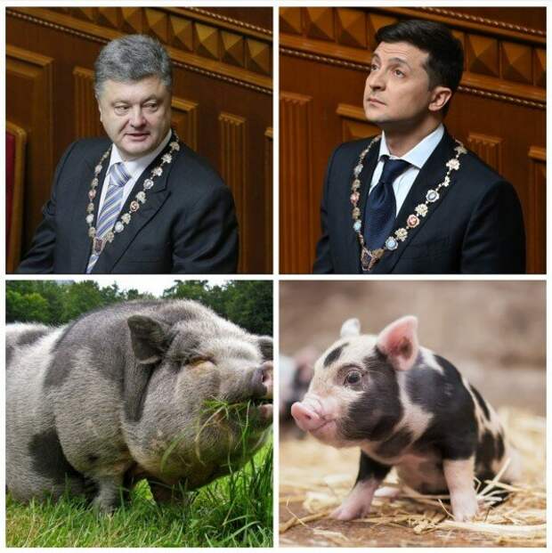 группа компаний независимость. надпись независимость. символ независимости.