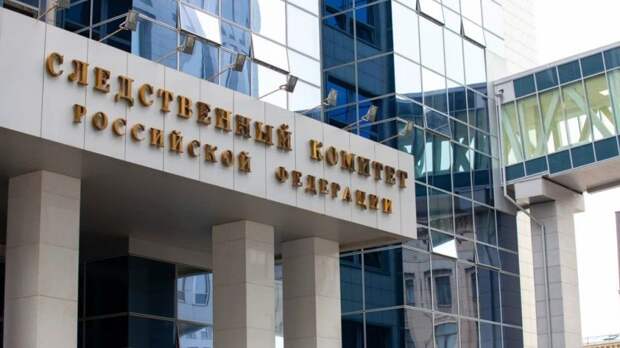 В отношении блогера Столярова могут провести проверку после обращения депутата Власова к Бастрыкину