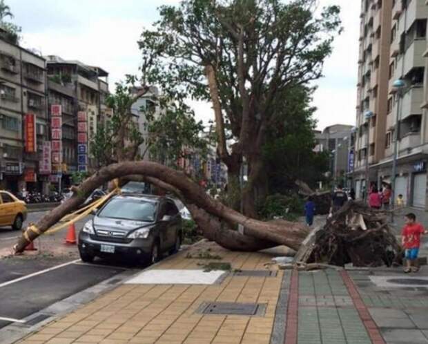 10 фото, на которых запечатлены редкие моменты