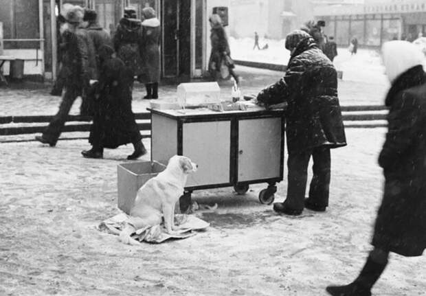 Лoтерея "Спринт", 1984 гᴏд