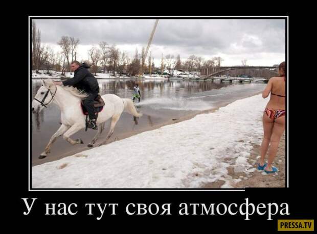 Демотиваторы (42 фото) Демотиваторы (42 фото)