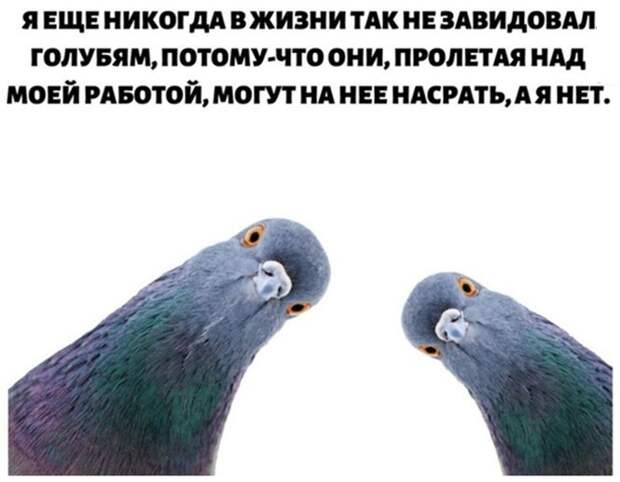 А я нет 