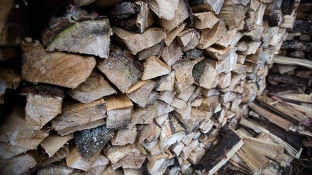 Стоимость древесины на территории Украины достигла рекордных значений