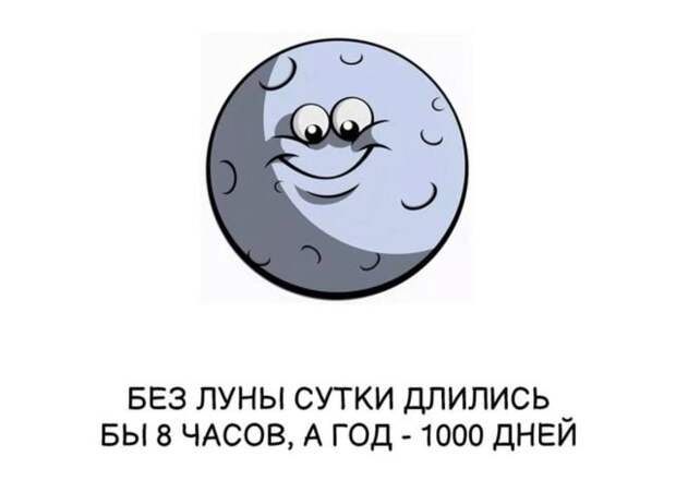 Интересные короткие факты на все случаи жизни