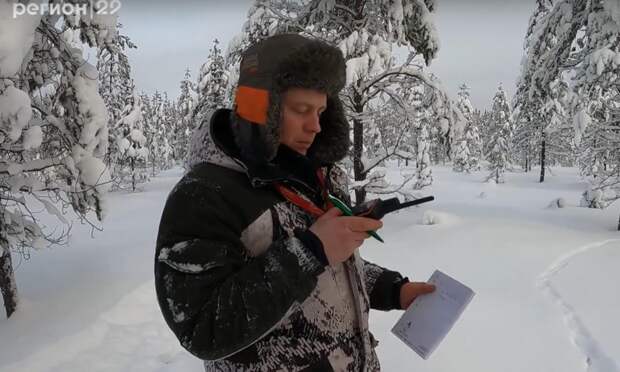 В Архангельской области проводят ежегодный зимний учёт диких животных