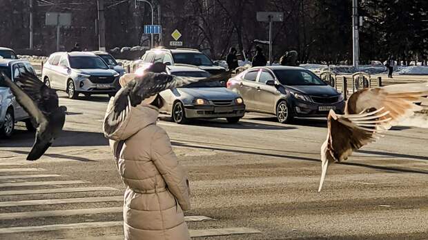 Солнечный февраль в Барнауле / Фото: Екатерина Смолихина / amic.ru