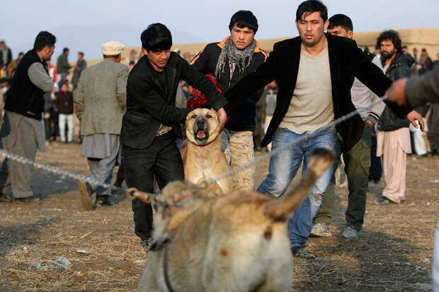 Afghanistan Daily life