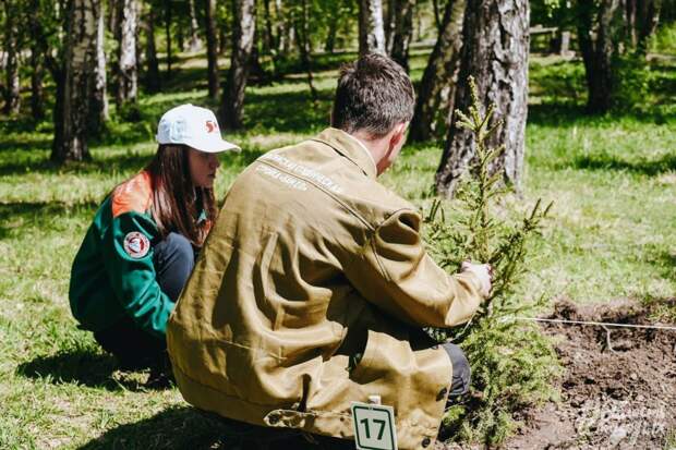 50 хвойных деревьев высадили в роще “Звездочка” в Иркутске