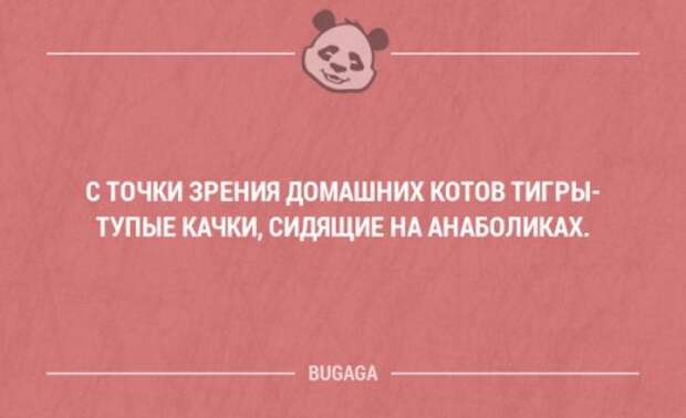 Смешные высказывания и мысли в картинках с надписями. Часть 102 (20 шт)