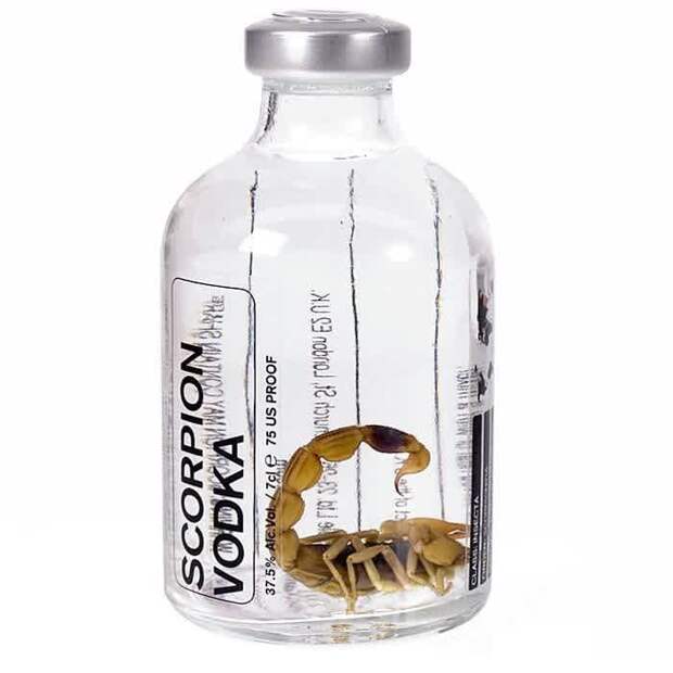 скорпион, водка