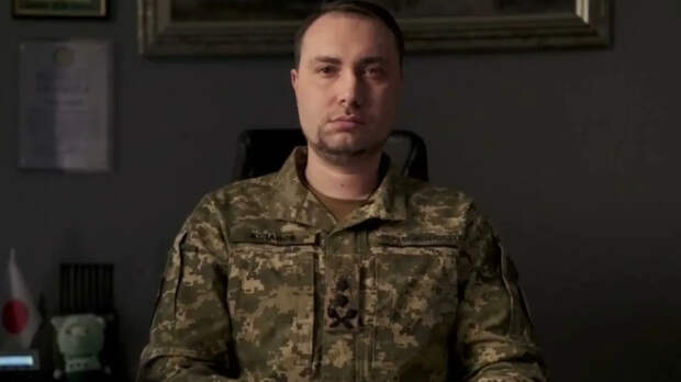 Великобритания выразила надежду на сотрудничество с Будановым*