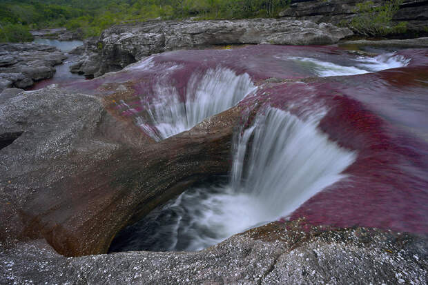 NewPix.ru - Яркие краски самой красивой реки в мире