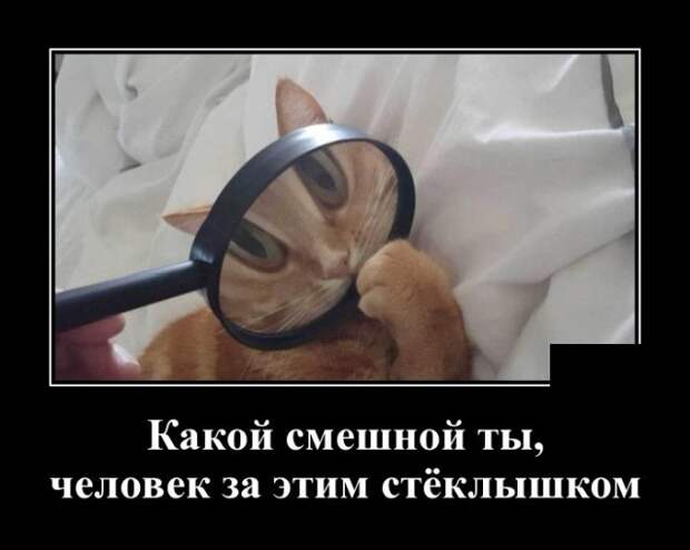 www.vsyako.net