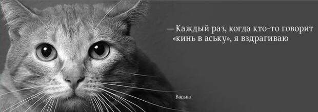 Забавные фотки (38 фоток)