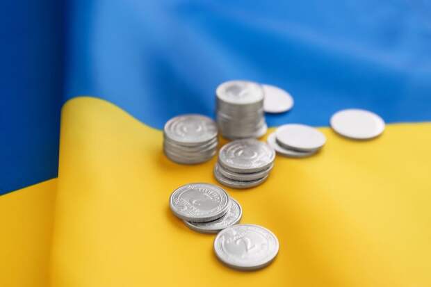 Продуктовые карточки разделят малоимущих граждан Украины на несколько каст Продуктовые карточки разделят малоимущих граждан Украины на несколько каст
