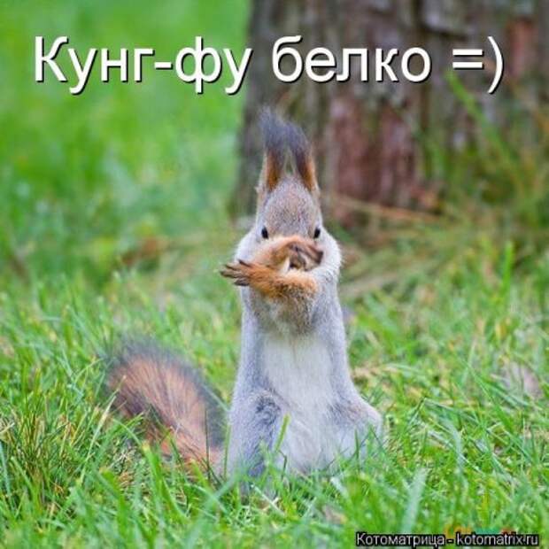 Приехала в гости сестра с двумя детьми 2 и 5 лет… Кот сразу притворился мертвым…