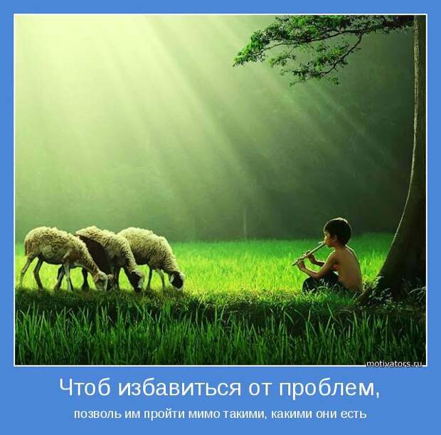 Подборка веселых и позитивных мотиваторов для настроения (10 фото)