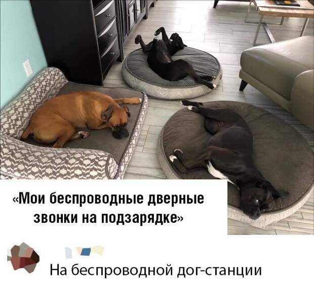 www.vsyako.net