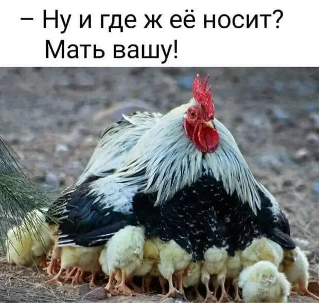 Пациент заходит в кабинет к врачу. — Доктор, у меня ТАМ проблемка!...