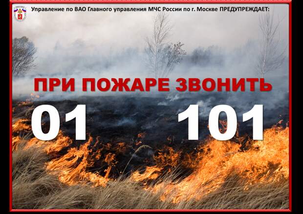 МЧС по ВАО напомнило об опасности сожжения сухой травы. Фото: Пресс-служба МЧС по ВАО