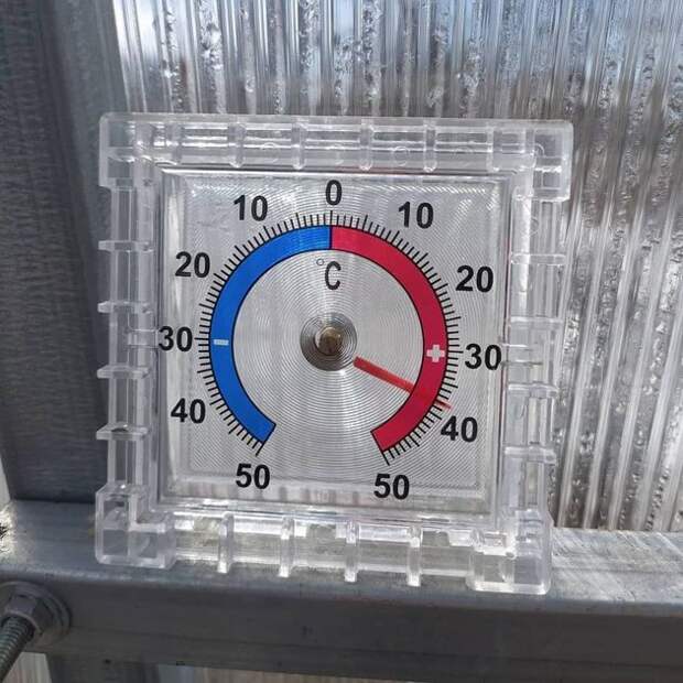 Как спасти томаты в теплице, в которой летом поднимается до 40 °С