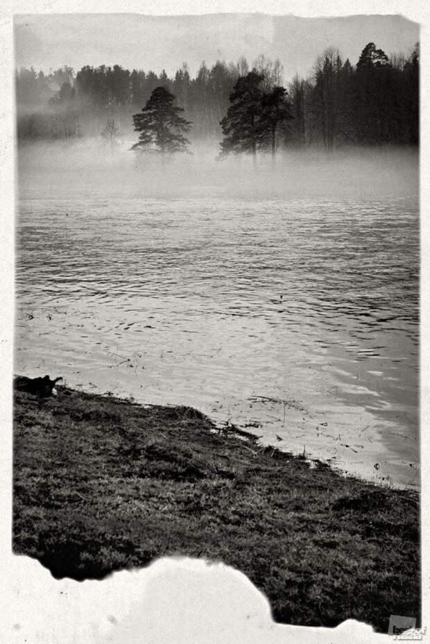 0453 Лучшие фотографии России 2011. Номинация “Природа”