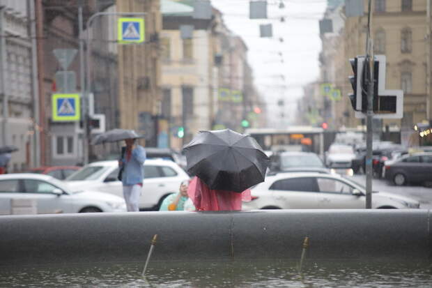 В Петербурге в воскресенье ожидается дождь и +15 градусов