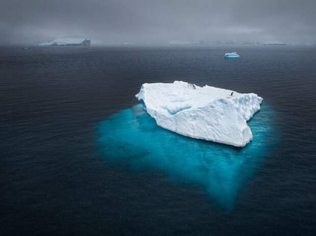 Коллекция лучших фотографий от National Geographic (ноябрь 2012)