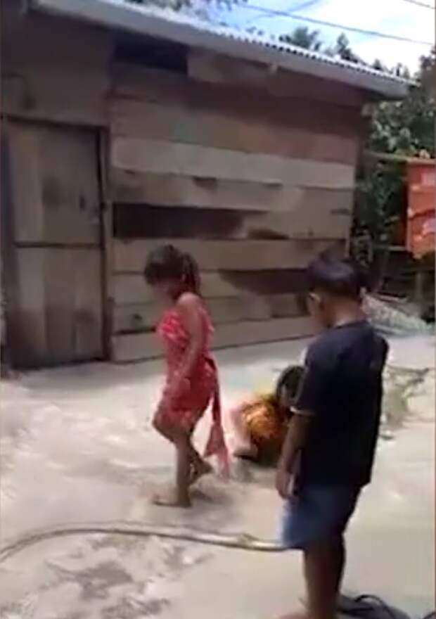 Вьетнамские дети прыгают через змею как через скакалку