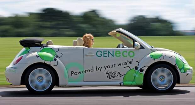 Биотопливные автомобили: нужны ли они миру и смогут ли занять свое место на рынке