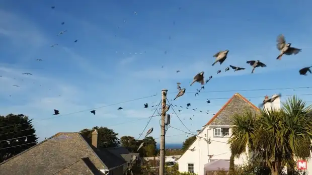 40 самых невероятных моментов, снятых на камеру