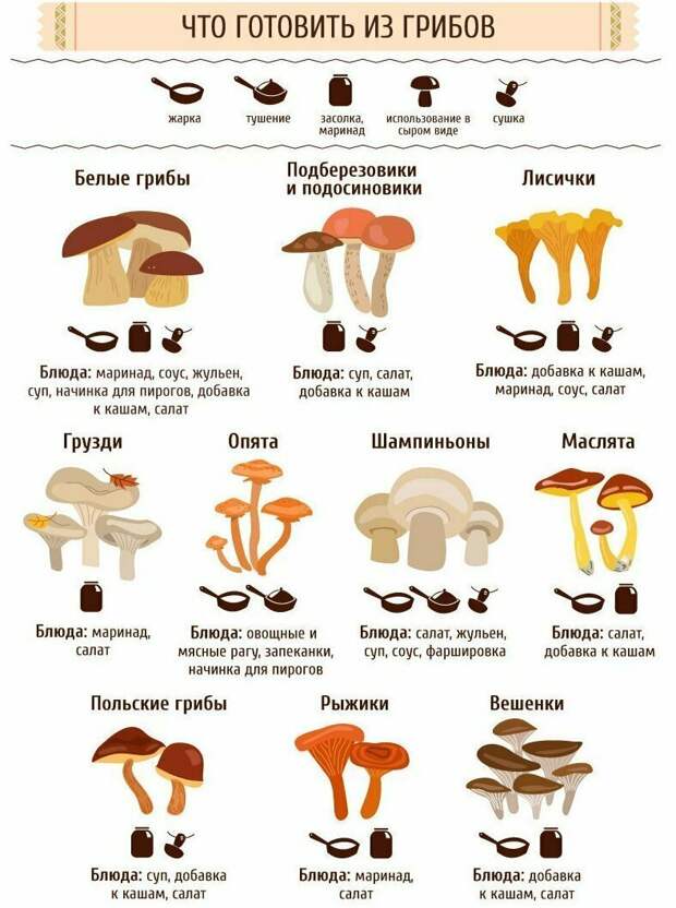 Шпаргалки, которые пригодятся любителям покулинарить Шпаргалки, которые пригодятся любителям покулинарить